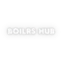 Logo van Boilrs Hub