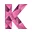 Logo Studievereniging KIC