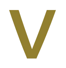 Logo van Vereniging Jonge Professionals Personenschade VJPP