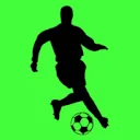 Logo INTERSCOUT