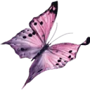 Logo van Praktijk de Opwaartse Spiraal