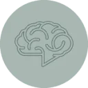 Logo van Breinwijzers