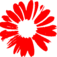 Logo van New Amsterdam Film Company