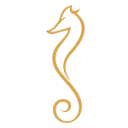 Logo van The Yachting Network