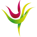 Logo Kiwanis Peel en Maas