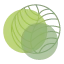 Logo van Huiting Uitvaartverzorging