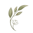 Logo van Serenity Psychology