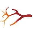 Logo van Vasculitis Expertise Center Groningen