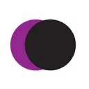 Logo van Nederlandse Filmacademie