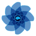 Logo Brain-Fit