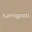 Logo lumigatti