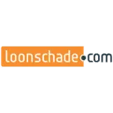 Logo Loonschade.com