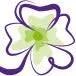 Logo van 🍀 Visibility coach 🍀 personal professional visibility 🍀