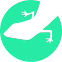 Logo Lizard Global