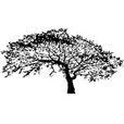 Logo van Oak3-10 Management Consultancy AND Interim