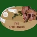 Logo The Spotlights