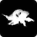 Logo van AFTERNATURE productions
