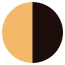 Logo van Datawijs met Thijs