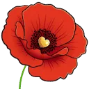 Logo van Ponte HR