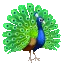 Logo van Reijkwijdte