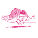 Logo van Stichting De Veluweloop