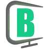 Logo van BORN-IT Professionals