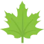 Logo Knoest