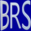 Logo Brian R Spisak Consulting