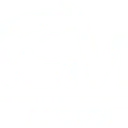 Logo Van Vliet Motorsport
