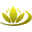 Logo van West Flora Export B.V.
