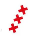 Logo van Fysio Punt Zuid