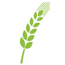 Logo Moneo Advies