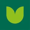Logo van Tulpen.nl