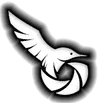 Logo van ShutterSparrow Photography