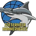 Logo van Zoetermeer Hammerheads