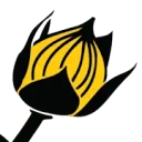 Logo van Lino BV