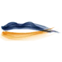 Logo van ProefLokaal Limburg
