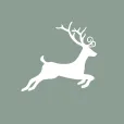 Logo van Michel's import-export B.V. / It's all about Christmas
