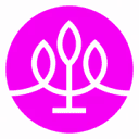 Logo van Treeconnections