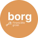 Logo Borg Belastingadvies