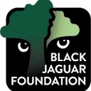 Logo van Black Jaguar Foundation