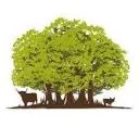 Logo van Boeren in het Bos - Grasgevoerd Natuurvlees AND Opleiding Zelfvoerzienend Boeren en Leven