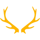 Logo van Noordelijk Film Festival