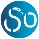 Logo van Ouderengeneeskunde.nu
