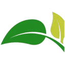 Logo van Graviola Shop