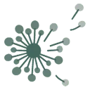 Logo van breezin'