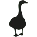 Logo van DE KAS VAN KAAT