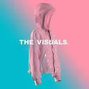 Logo The Visuals 3D
