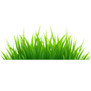 Logo Netgras.nl