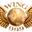 Logo van Wing 999
